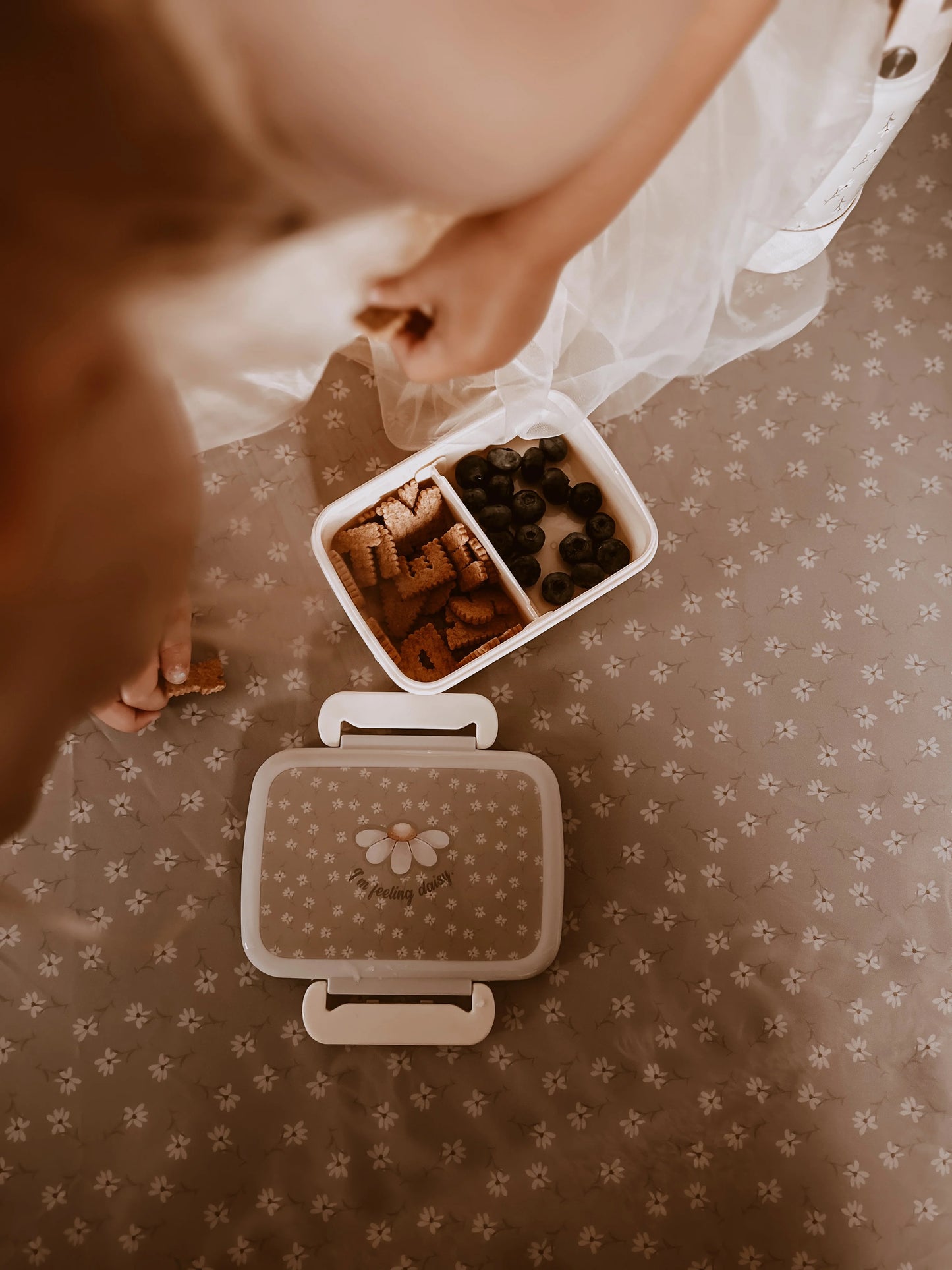 Priešpiečių dėžutė | MAŽAS DAISYS