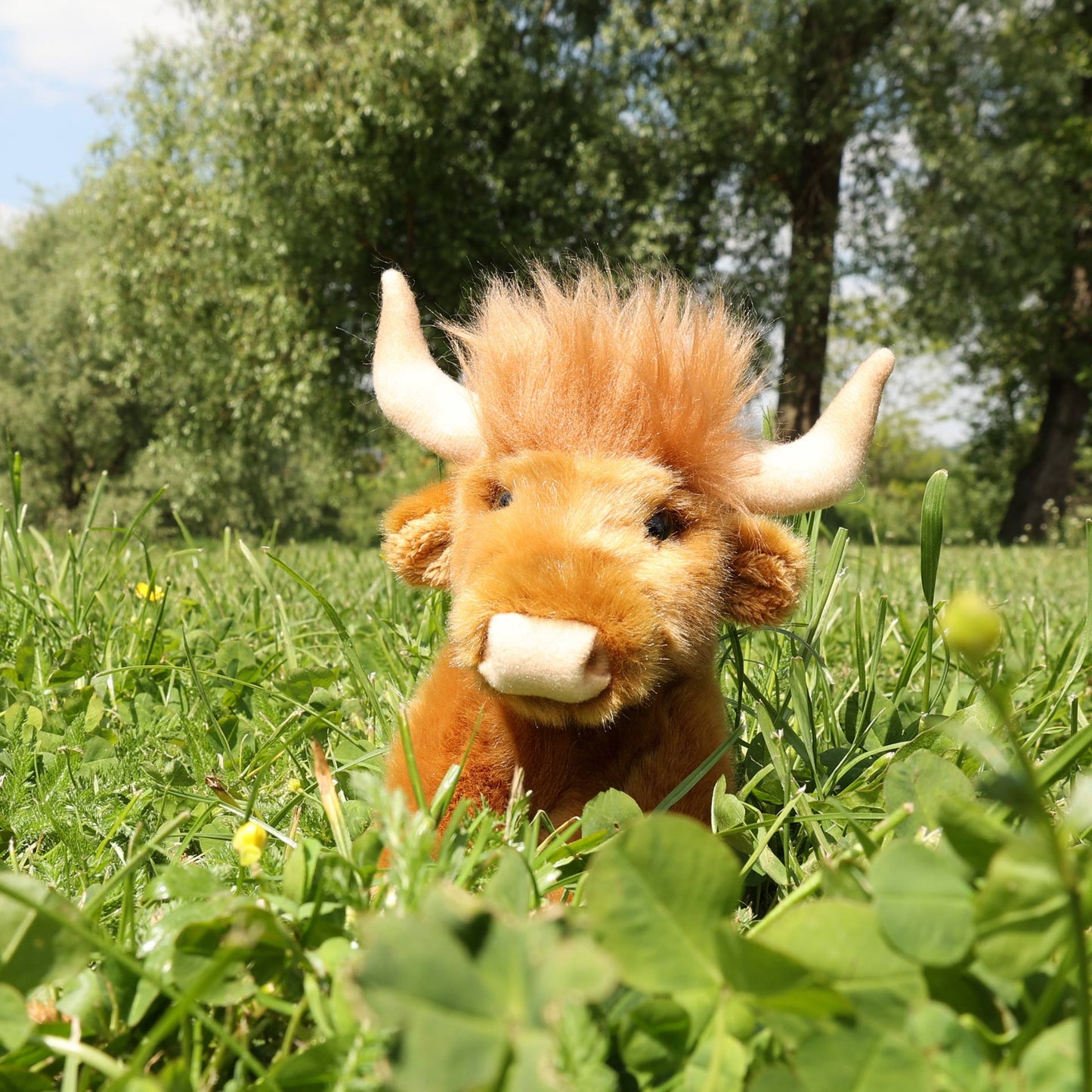 Pliušinis žaislas | KALNŲ KARVĖ