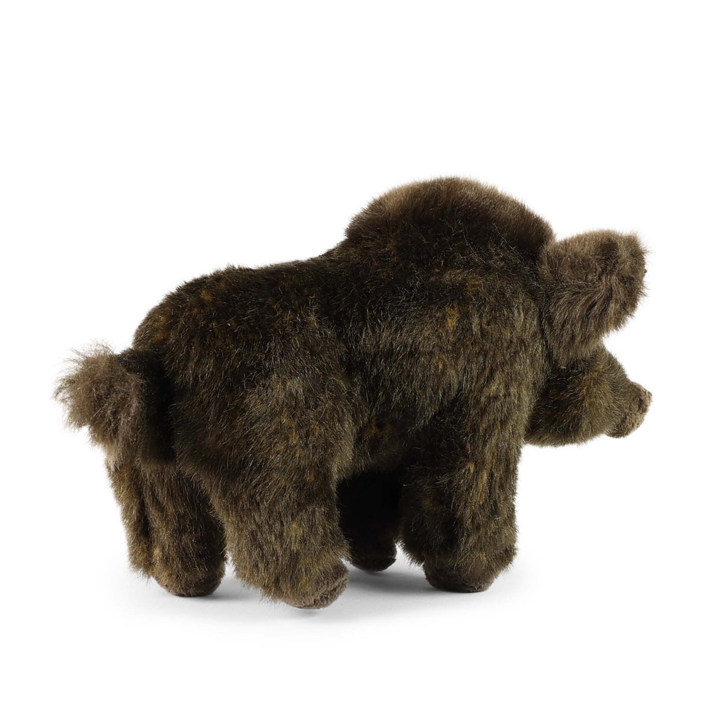 Pliušinis žaislas | ŠERNAS